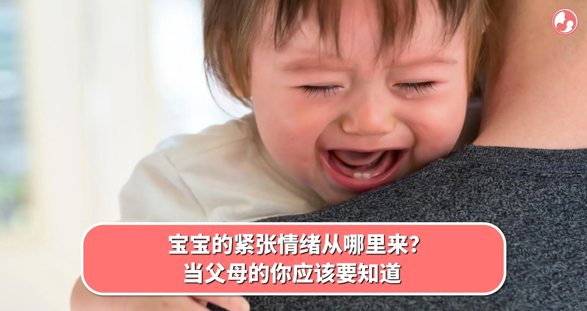 【情绪管理】宝宝的紧张情绪从哪里来?当父母的你应该要知道
