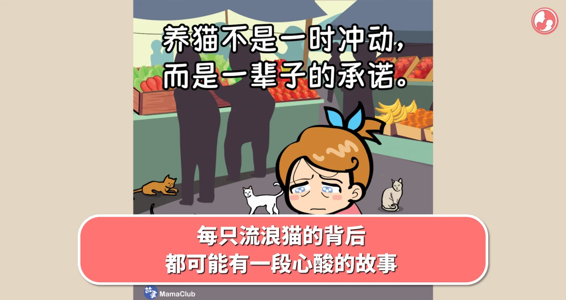 【故事投稿】每只流浪猫的背后,都可能有一段心酸的故事