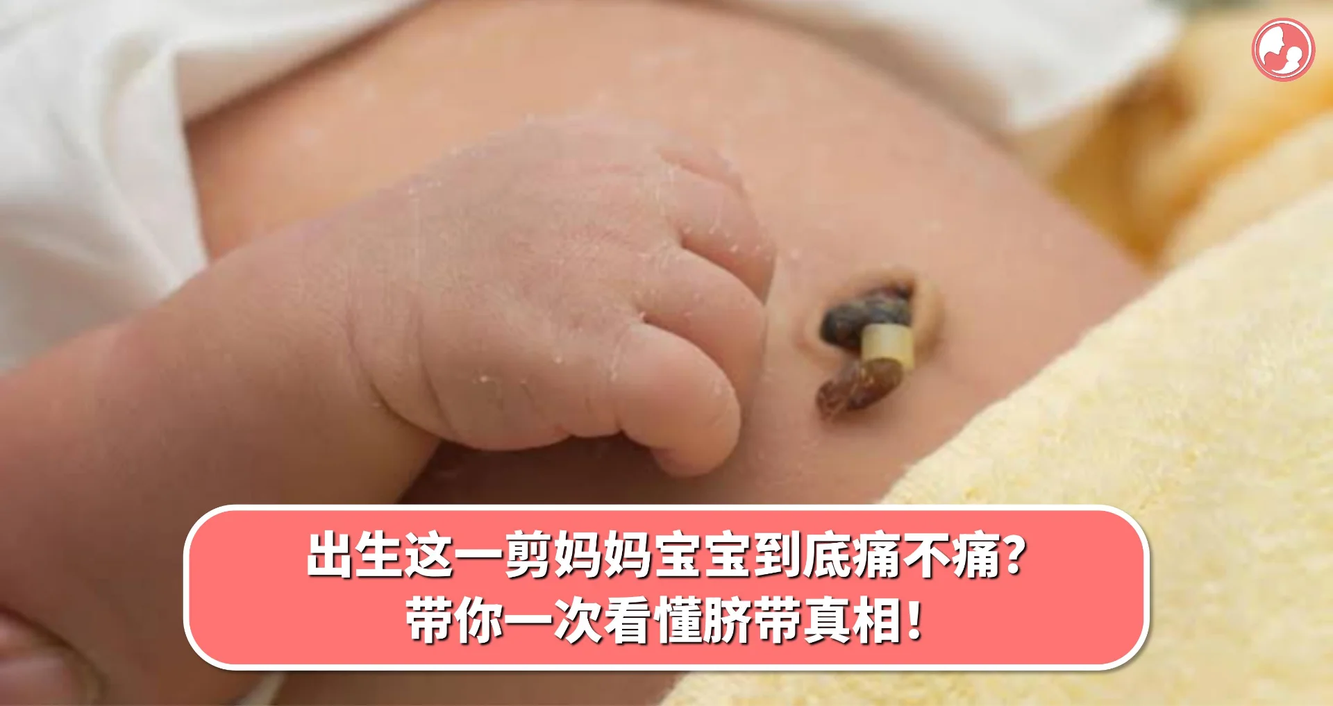 【肚脐篇】出生这一剪妈妈宝宝到底痛不痛?带你一次看懂脐带真相!